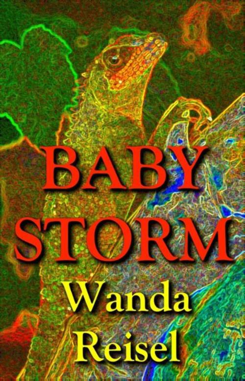 Cover of the book Baby Storm by Wanda Reisel, Atlas Contact, Uitgeverij