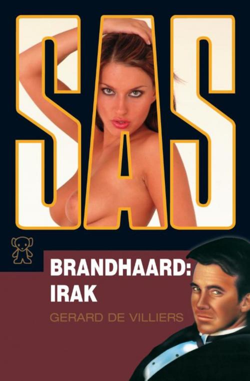 Cover of the book Brandhaard: Irak by Gérard de Villiers, Bruna Uitgevers B.V., A.W.