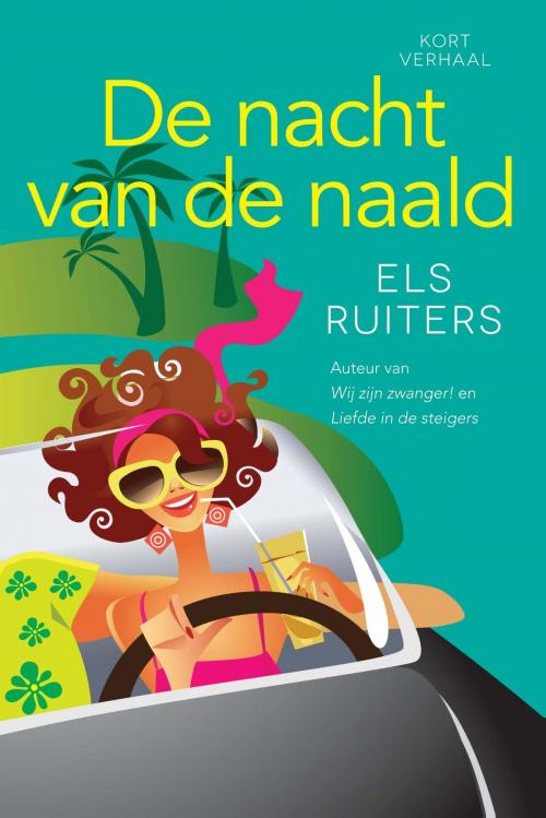 Cover of the book De nacht van de naald by Els Ruiters, VBK Media