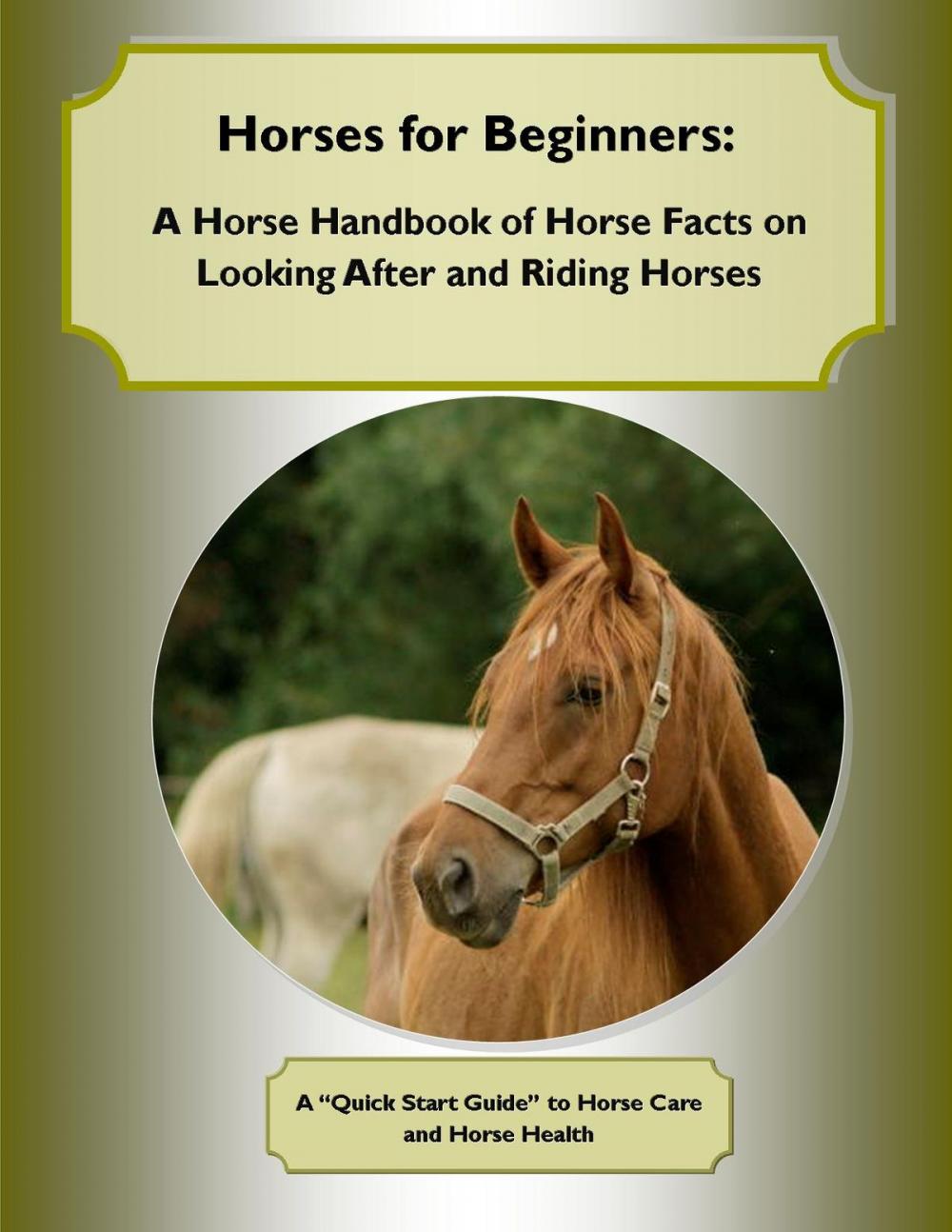Big bigCover of Horses for Beginners: A Horse Handbook of Horse Facts on Looking After and Riding Horses