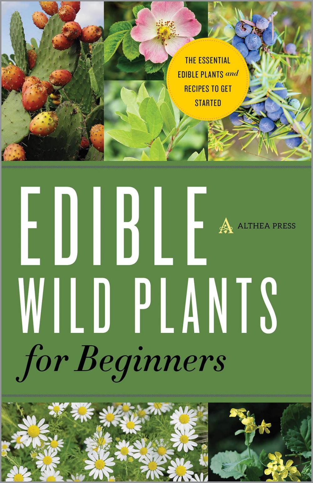 Big bigCover of Edible Wild Plants for Beginners: The Essential Edible Plants and Recipes to Get Started