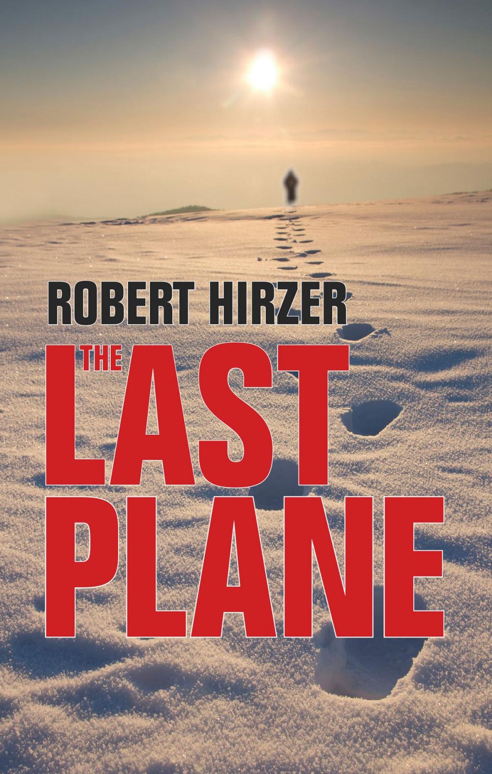 Big bigCover of The Last Plane