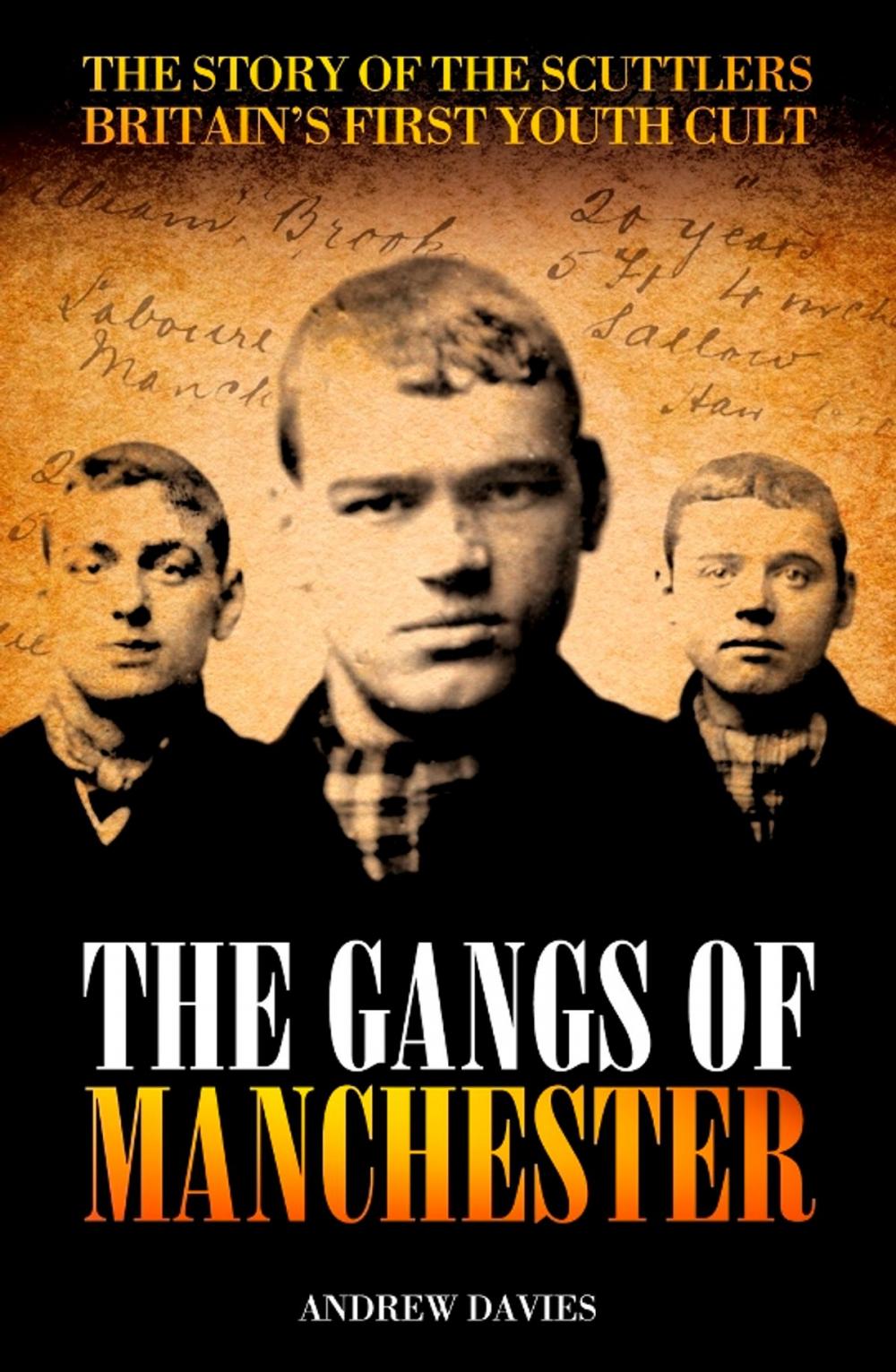 Big bigCover of The Gangs of Manchester