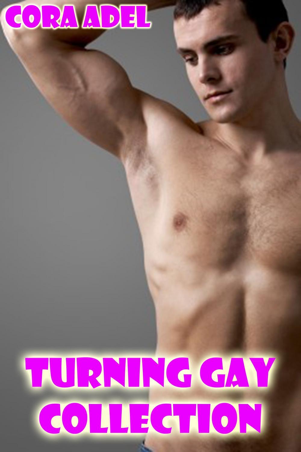Big bigCover of Turning Gay Collection