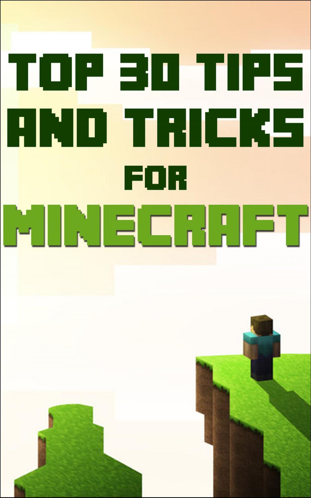 Big bigCover of Minecraft Guide: Top 30 Tips And Tricks