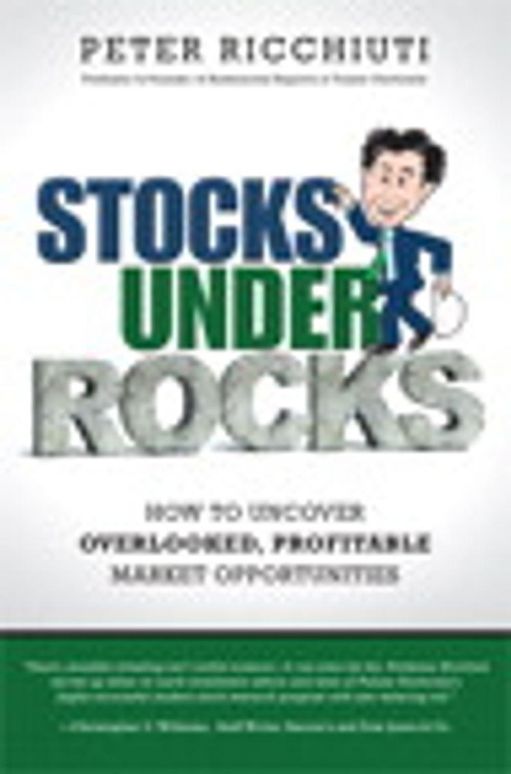 Big bigCover of Stocks Under Rocks