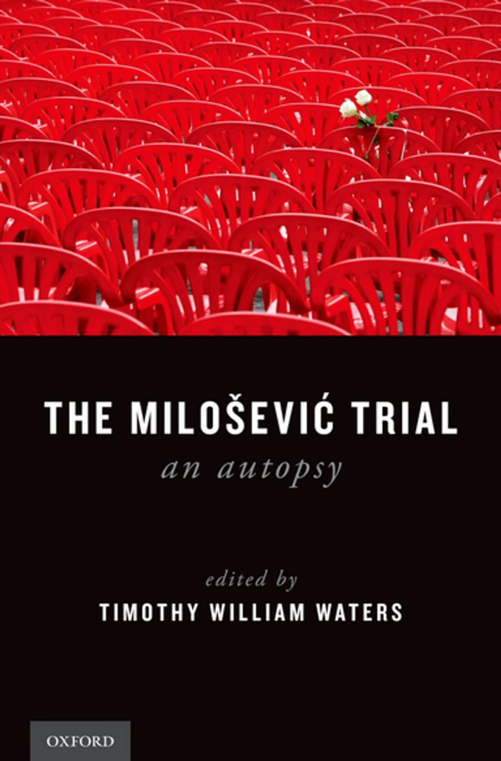 Big bigCover of The Milosevic Trial