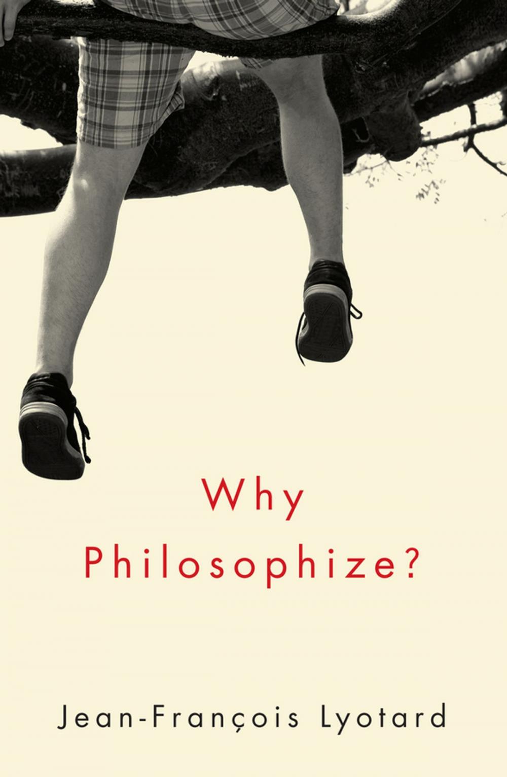 Big bigCover of Why Philosophize?