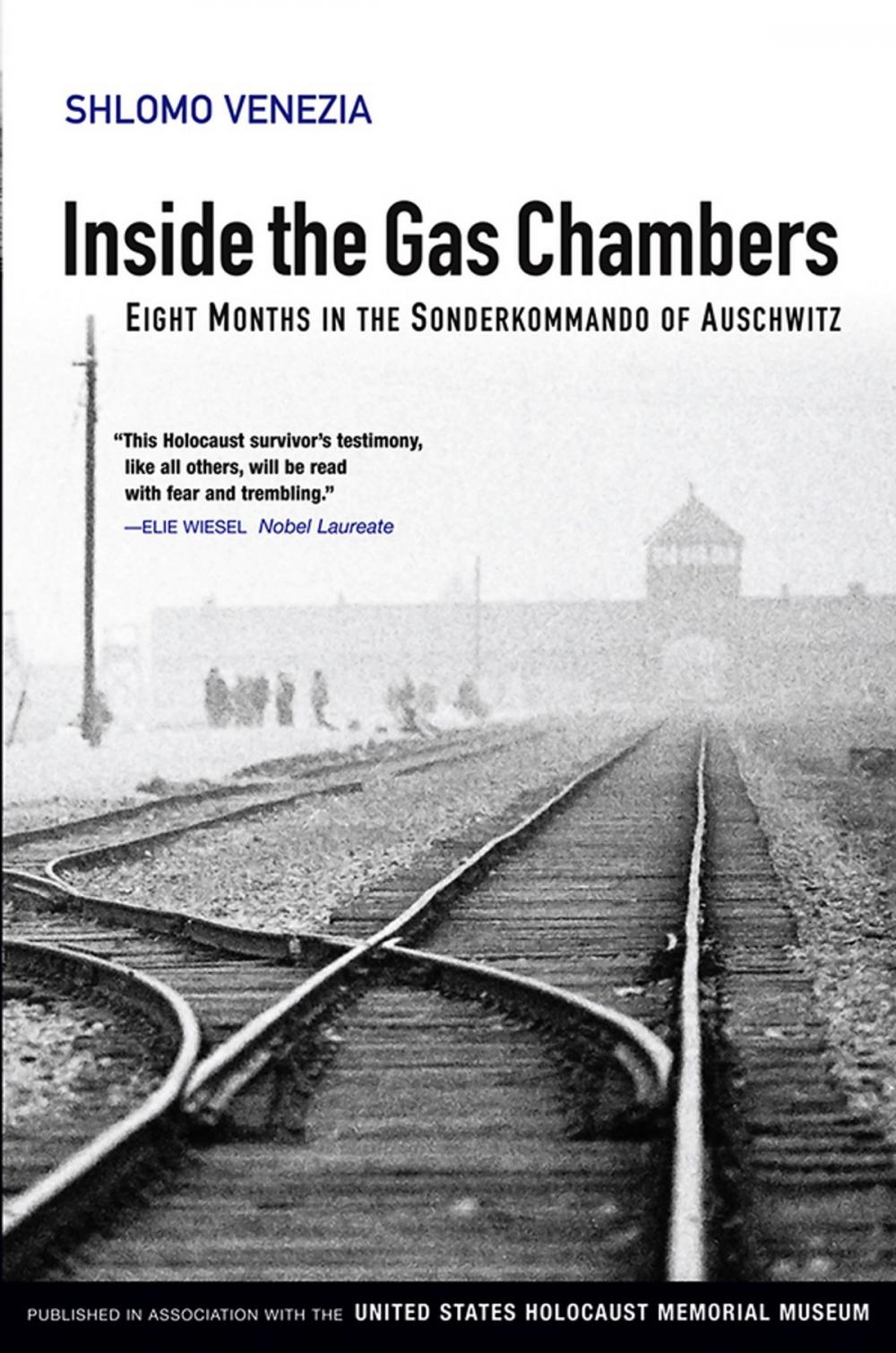 Big bigCover of Inside the Gas Chambers