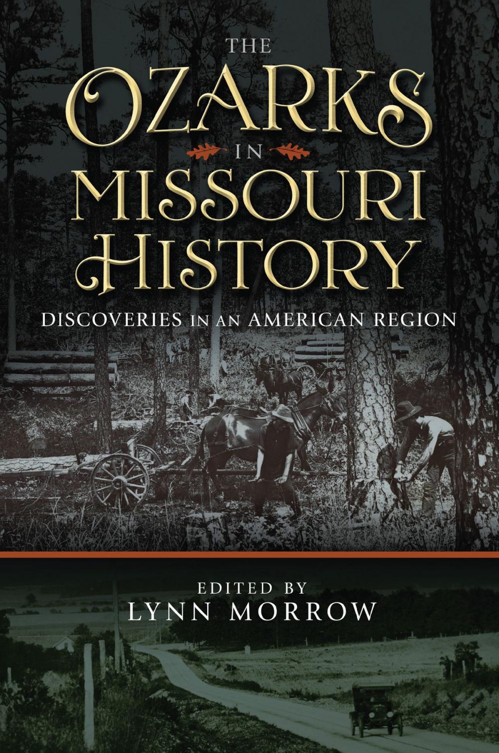 Big bigCover of The Ozarks in Missouri History