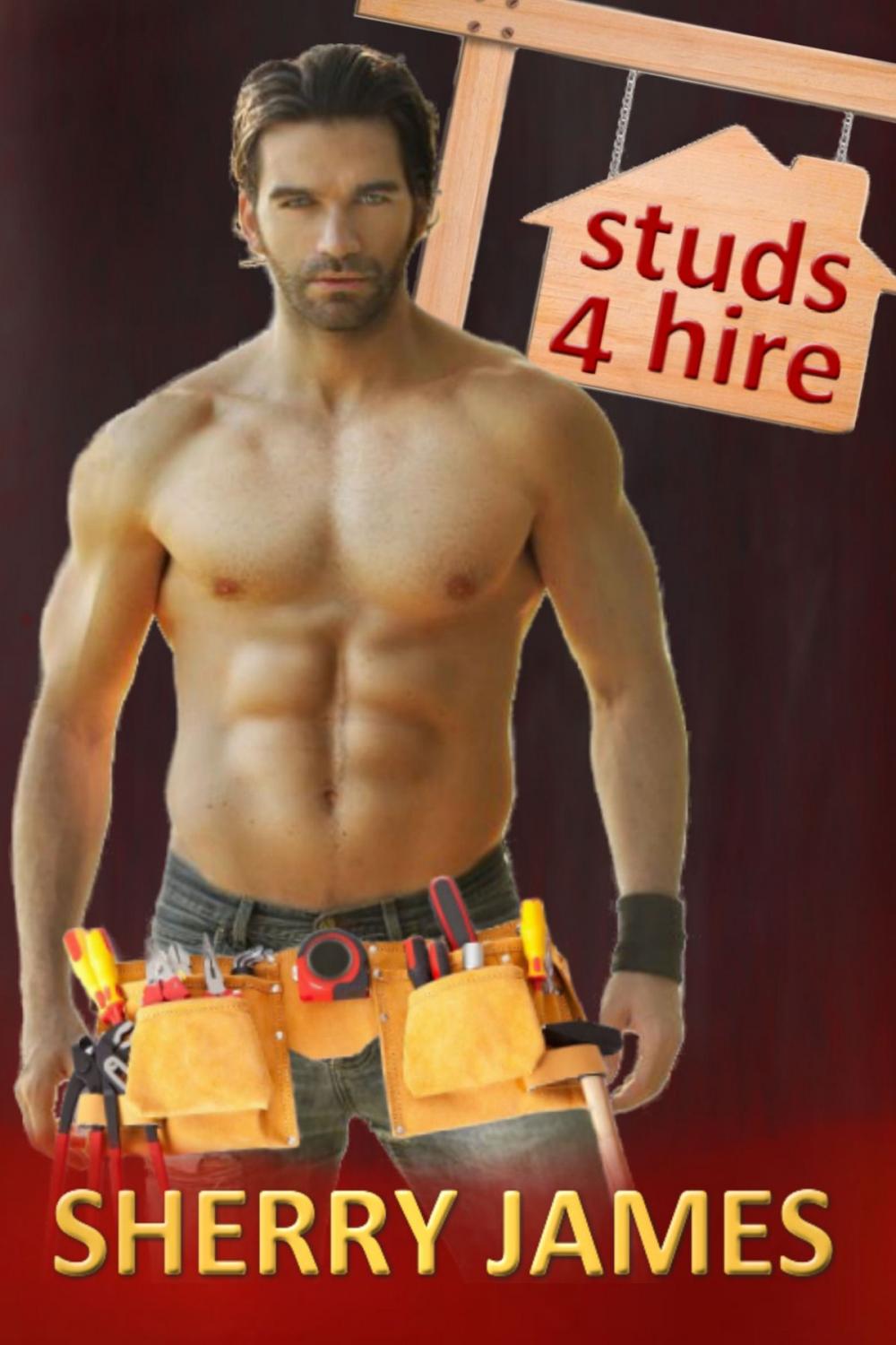 Big bigCover of Studs 4 Hire Boxed Set