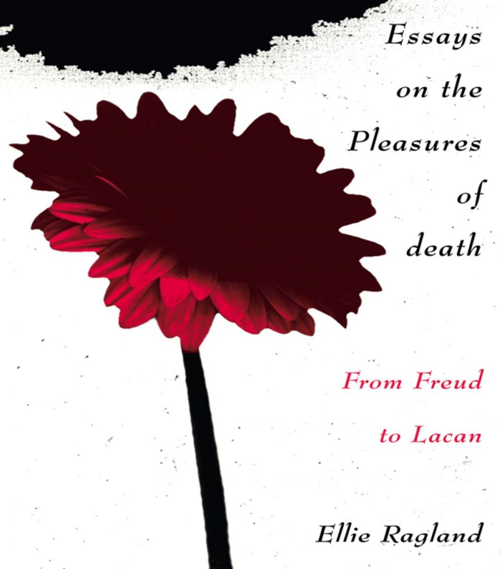 Big bigCover of Essays on the Pleasures of Death