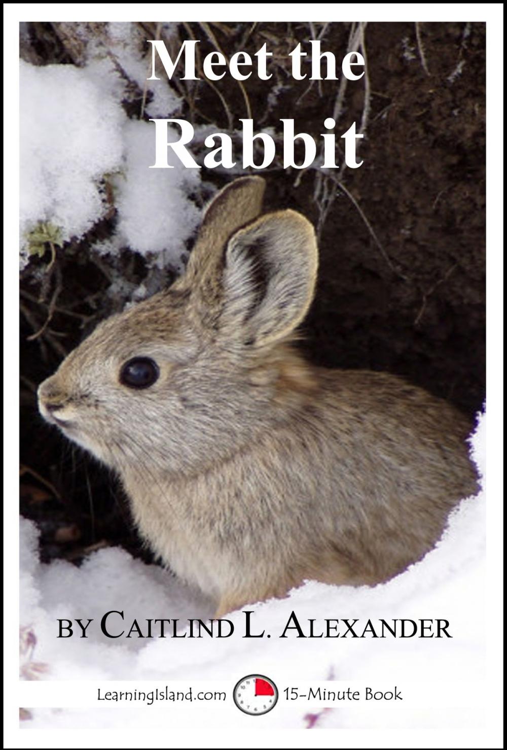 Big bigCover of Meet the Rabbit: A 15-Minute Book for Early Readers