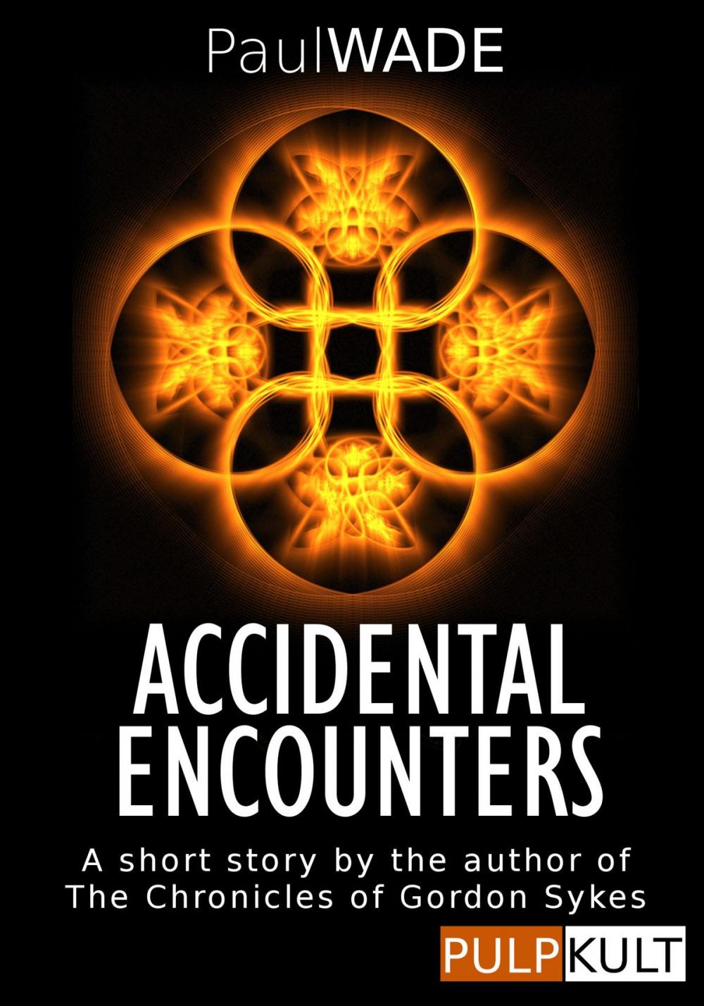 Big bigCover of Accidental Encounters