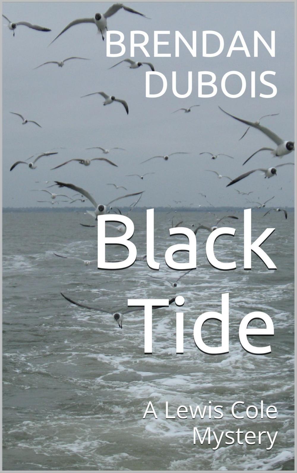 Big bigCover of Black Tide