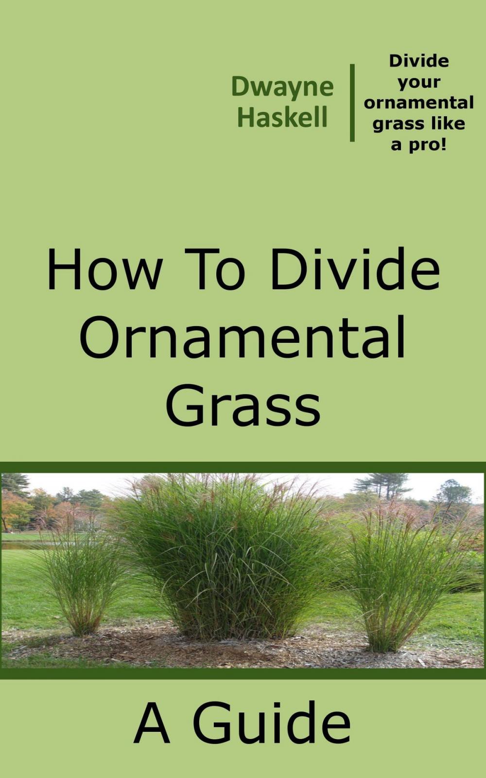 Big bigCover of How To Divide Ornamental Grass