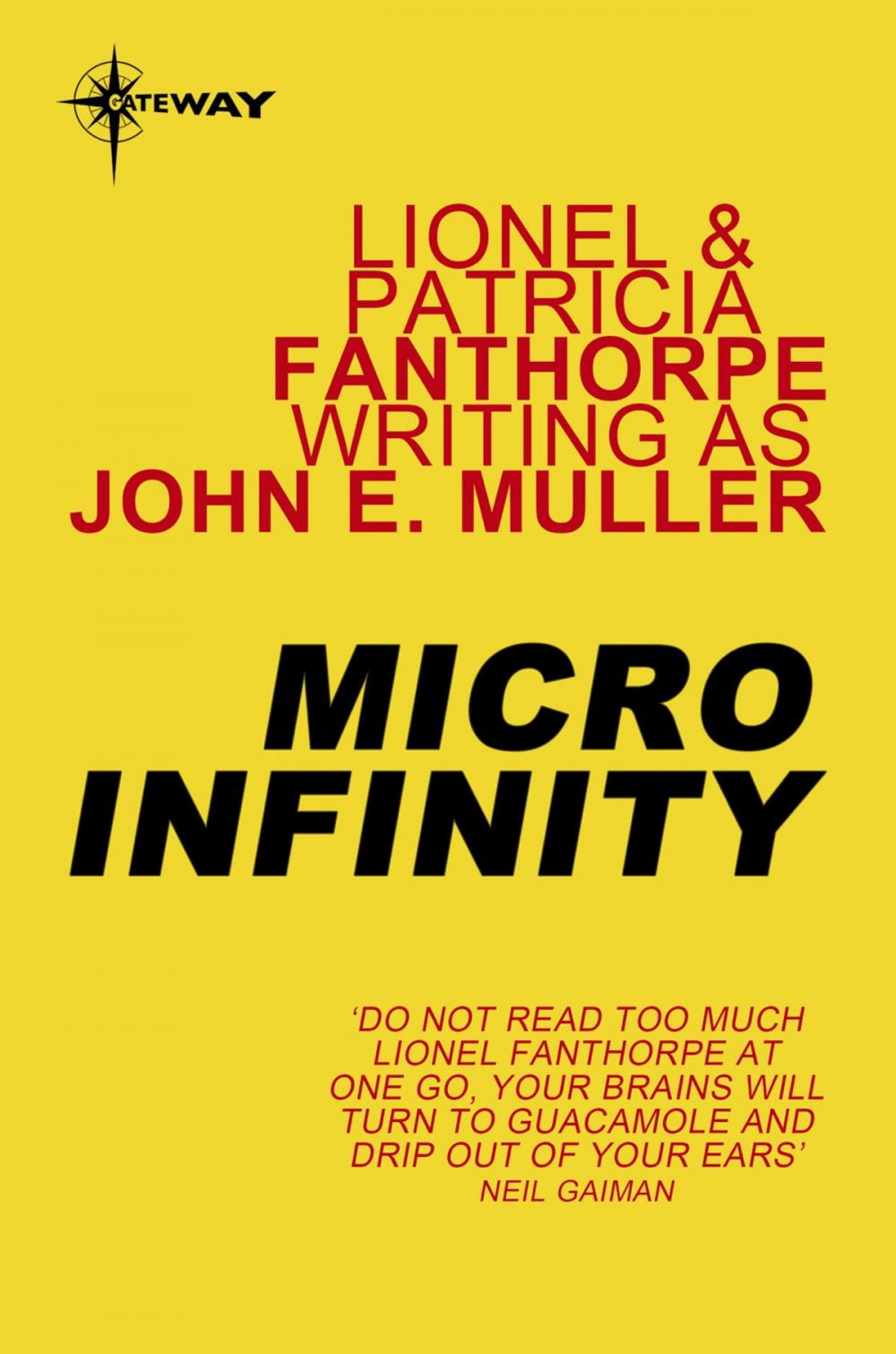 Big bigCover of Micro Infinity