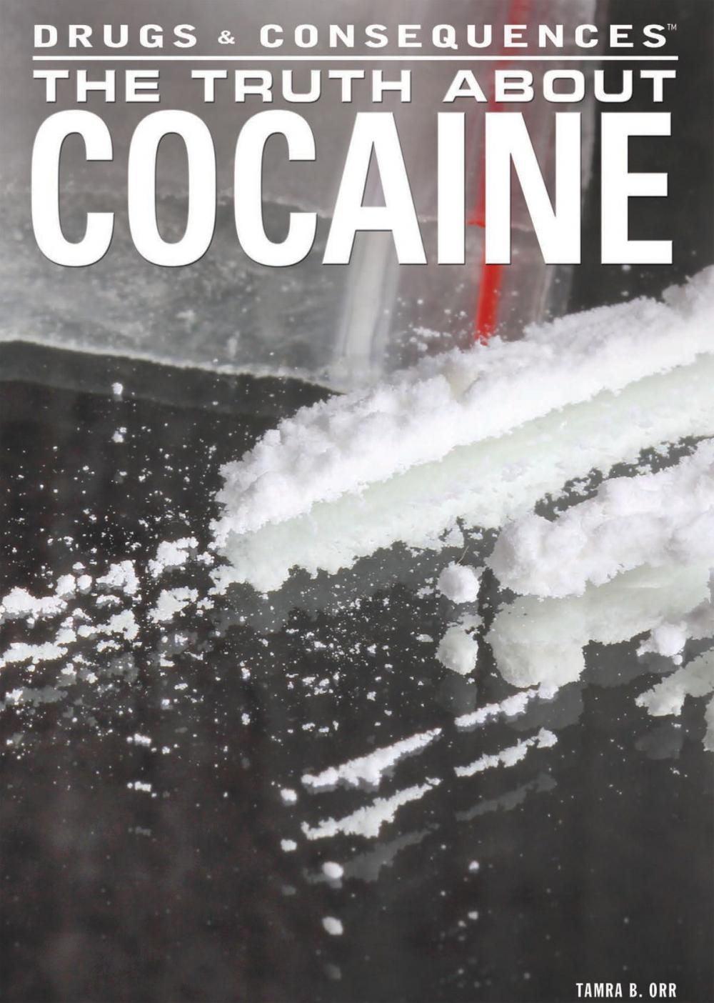 Big bigCover of The Truth About Cocaine