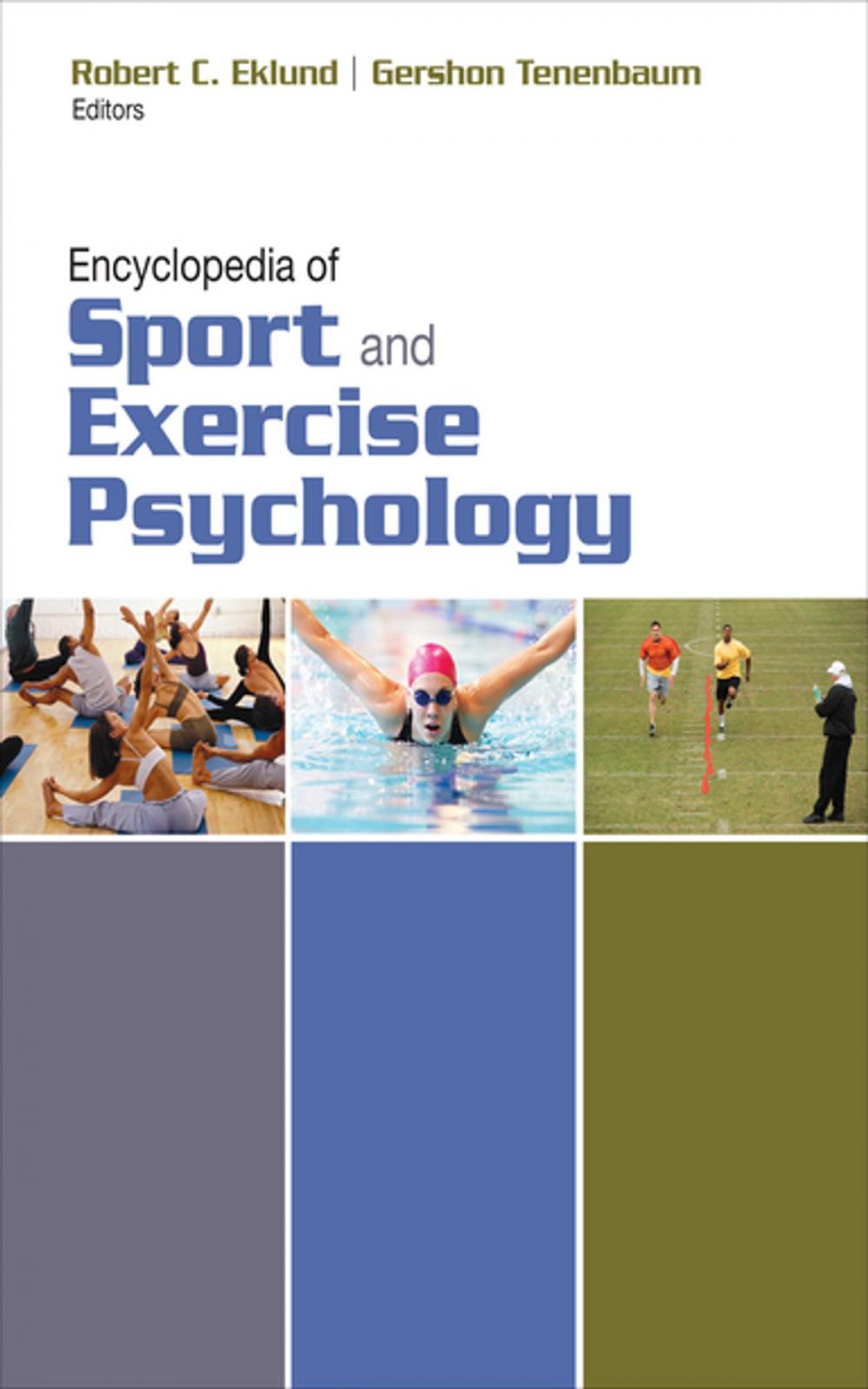 Big bigCover of Encyclopedia of Sport and Exercise Psychology