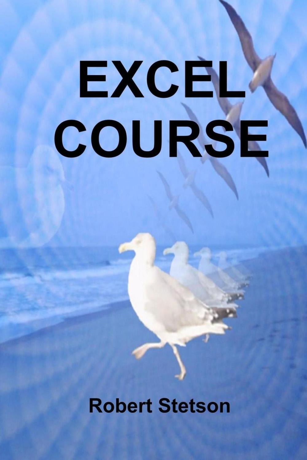 Big bigCover of EXCEL COURSE