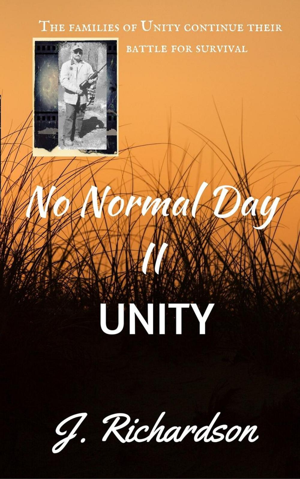 Big bigCover of No Normal Day II, Unity
