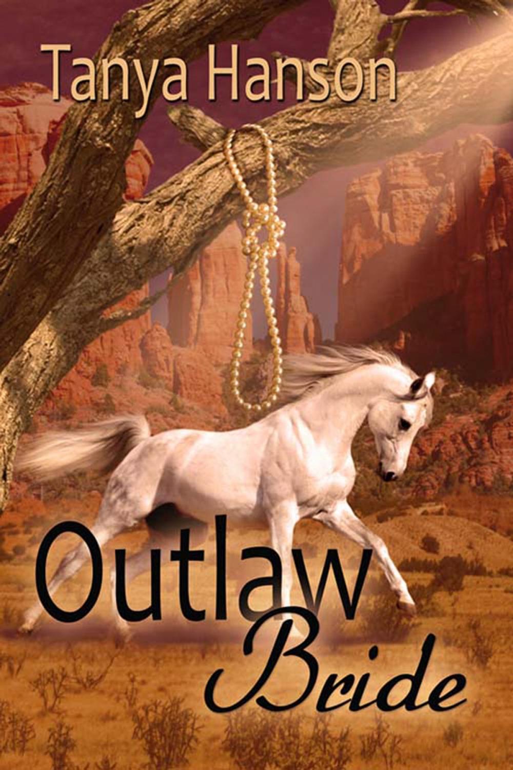 Big bigCover of Outlaw Bride