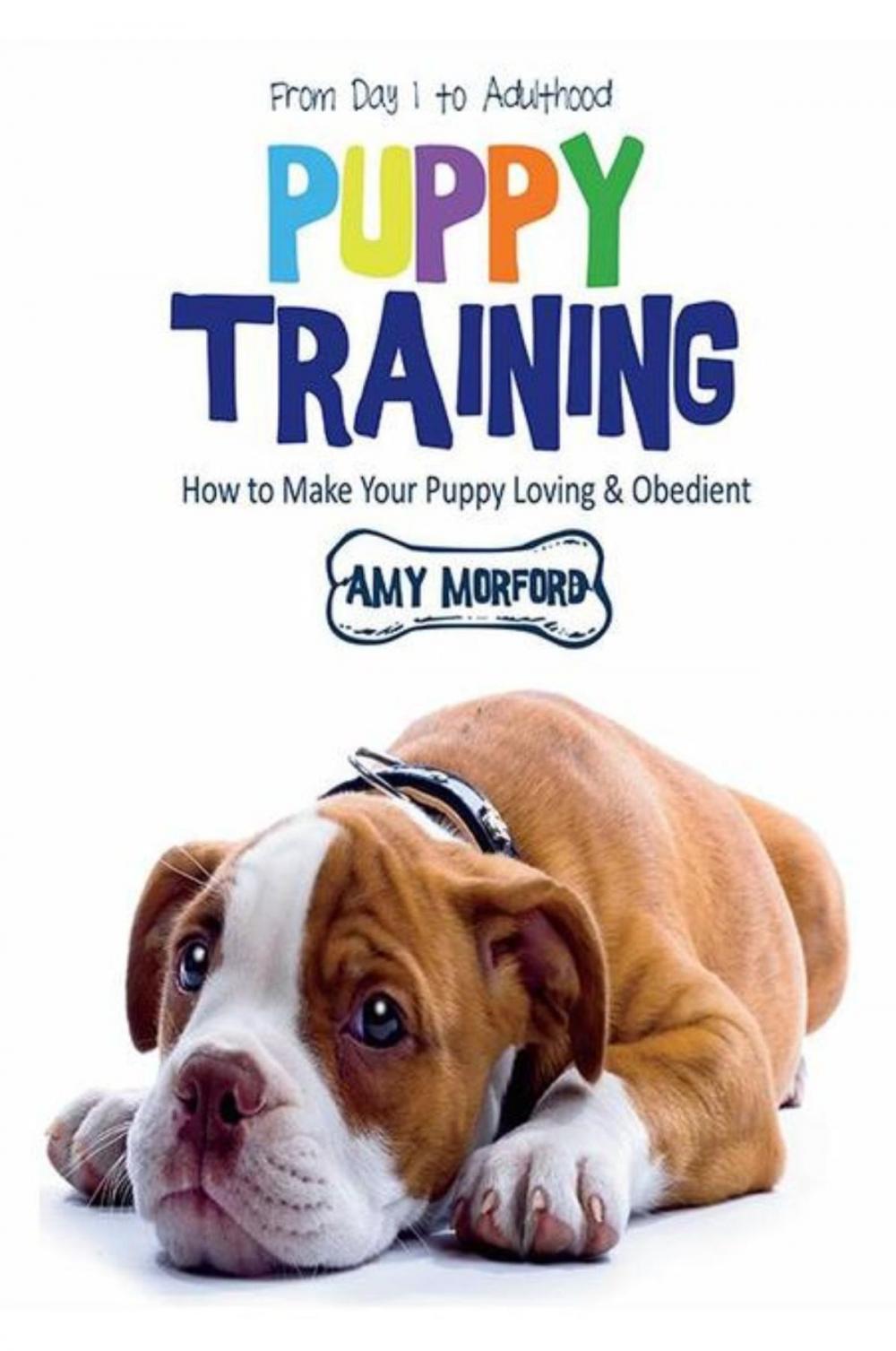 Big bigCover of Puppy Training: From Day 1 to Adulthood