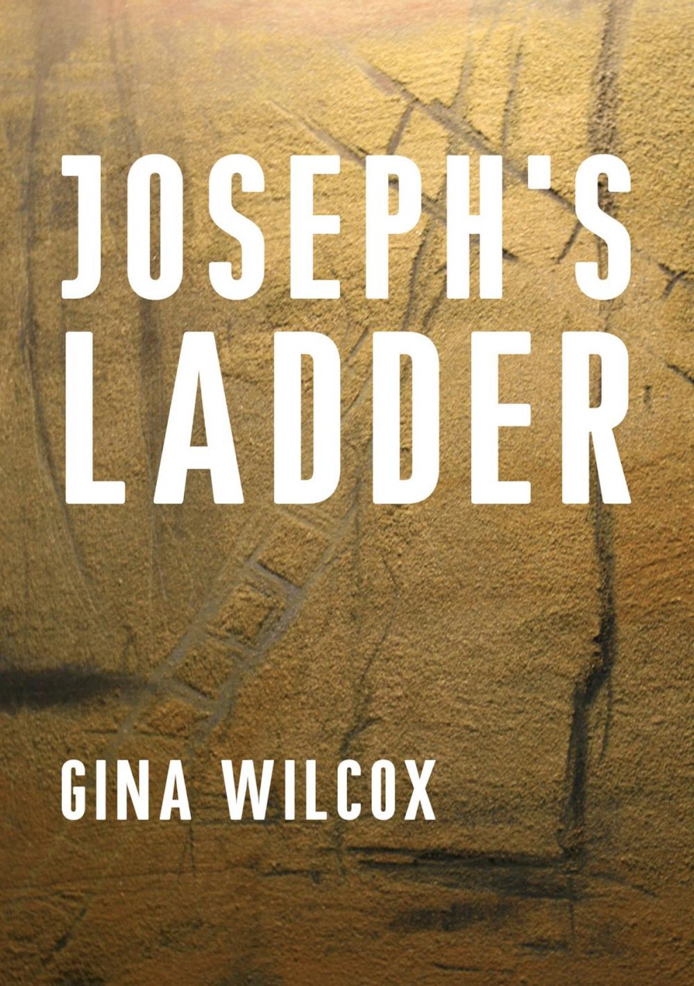 Big bigCover of Joseph's Ladder