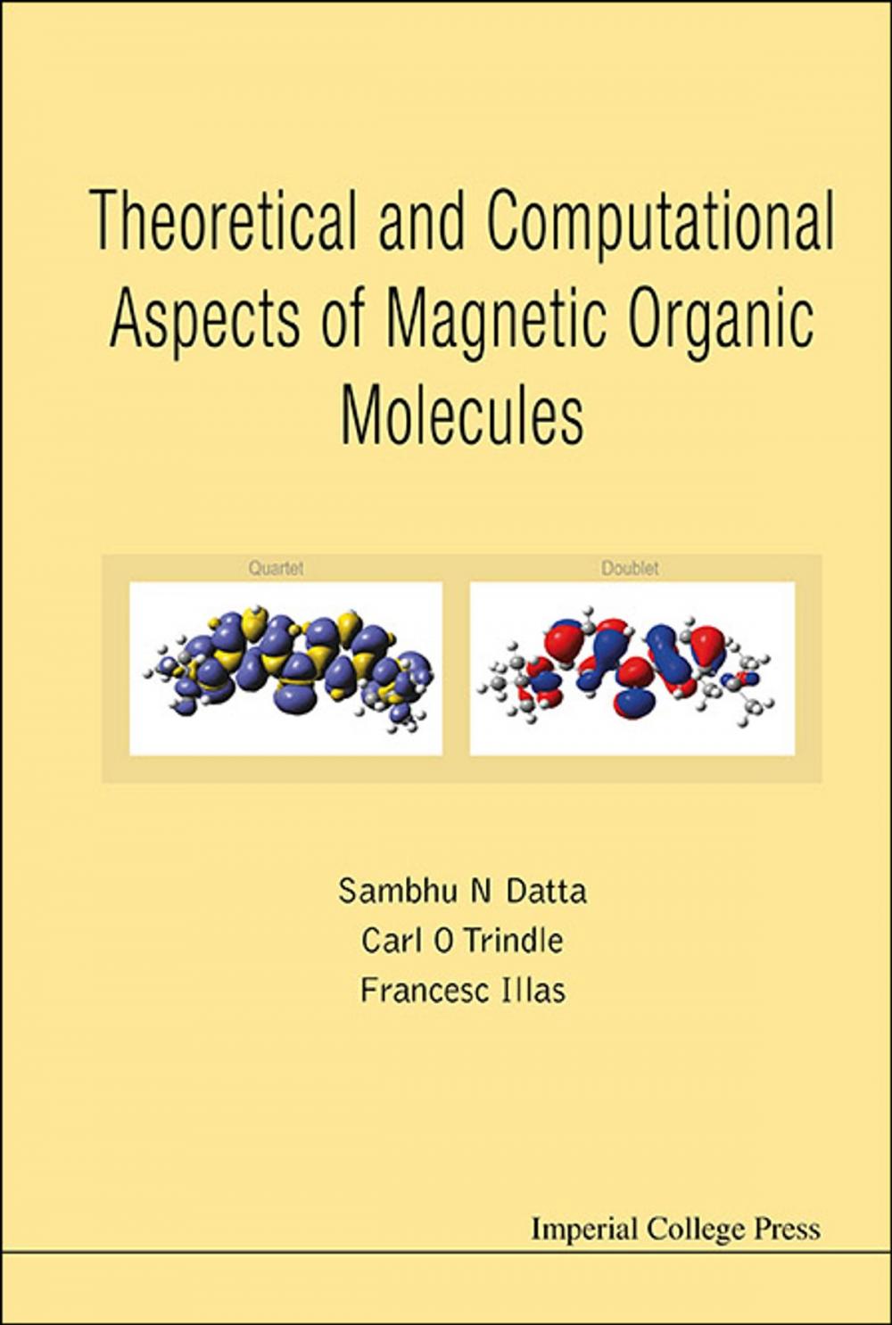 Big bigCover of Theoretical and Computational Aspects of Magnetic Organic Molecules