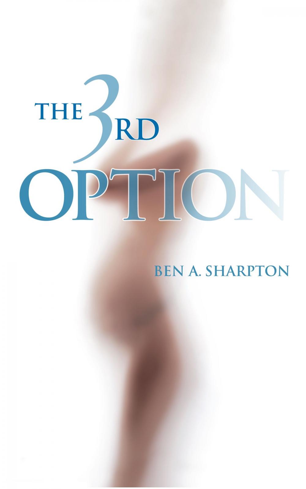 Big bigCover of The 3rd Option