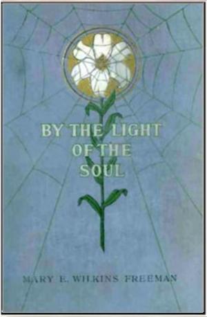 Cover of the book By the Light of the Soul by George McCutcheon Barr