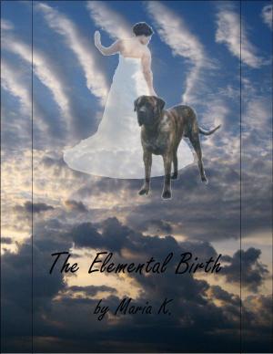Cover of the book The Elemental Birth by Raine English