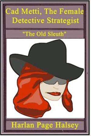 Cover of the book Cad Metti, The Female Detective Strategist by E. Phillips Oppenheim