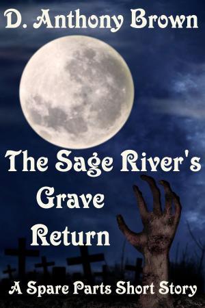 Cover of the book The Sage River's Grave Return by Don Kross