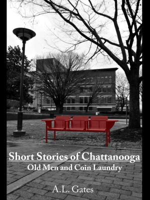 bigCover of the book Short Stories of Chattanooga by 