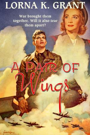 Book cover of A Pair of Wings