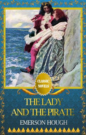 Book cover of THE LADY AND THE PIRATE