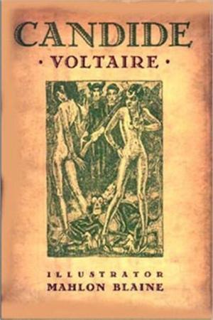 Cover of the book Candide by D. Armando Palacio Valdés