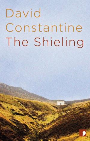 Cover of the book The Shieling by Sara Maitland, Sean O'Brien, Adam Marek