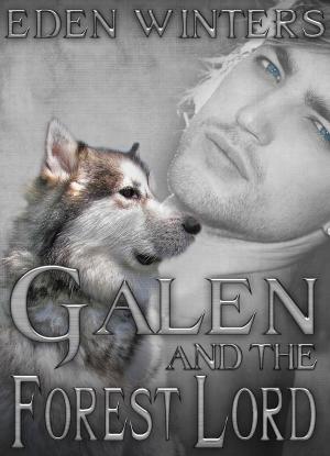 Cover of the book Galen and the Forest Lord by P.D. Singer