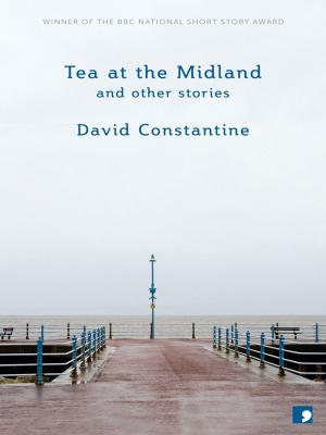Cover of the book Tea at the Midland by Rudyard Kipling, Adam Roberts (editor)