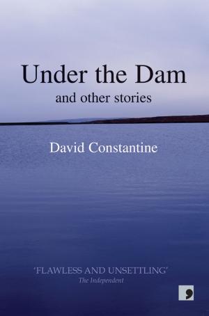 Cover of the book Under the Dam by Edgar Allan Poe, Sean O'Brien (editor)