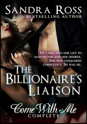 Book cover of The Billionare's Liaison: Come With Me Complete