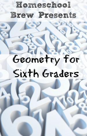 Book cover of Geometry for Sixth Graders