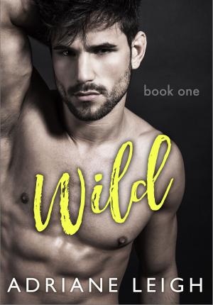 Cover of the book Wild by Sloan Johnson
