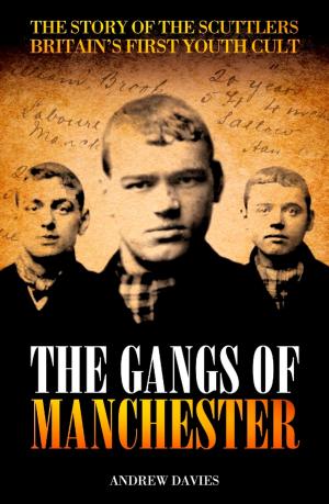 Cover of the book The Gangs of Manchester by Steve Sinclair