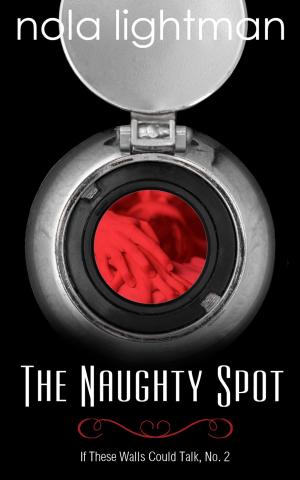 Cover of the book The Naughty Spot by Bebe Lix