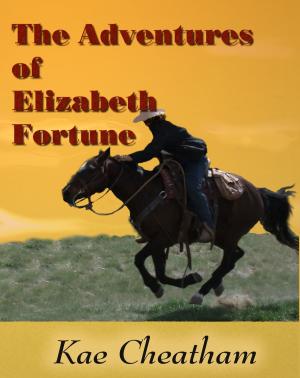 bigCover of the book The Adventures of Elizabeth Fortune by 