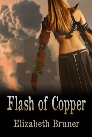 Cover of the book Flash of Copper by Frederick Hicks