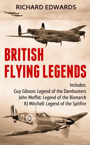 Cover of the book British Flying Legends by Richard Edwards